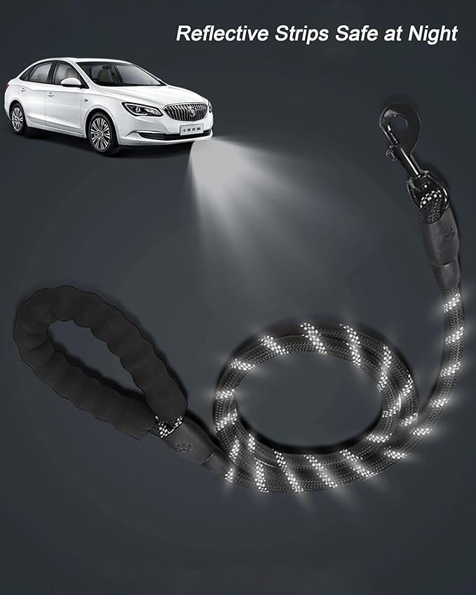 PETANK Rope Dog Leash 4 FT with Comfortable Padded Handle and Highly Reflective Threads for Small Medium Dogs (Black 4FT*2/5")