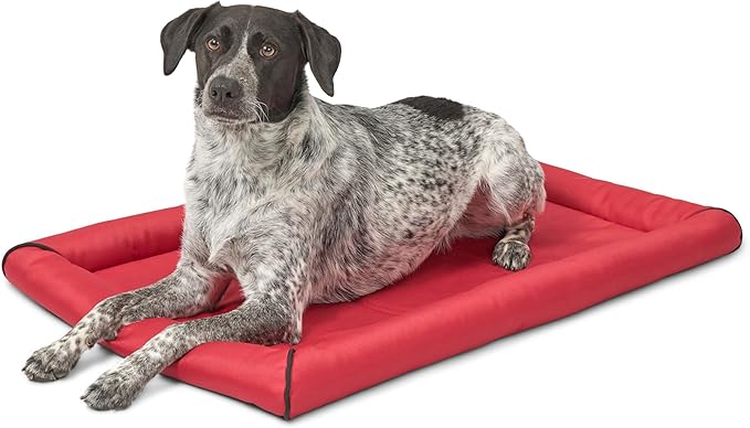 MidWest Homes for Pets Maxx Dog Bed Designed to Fit a 36-Inch Dog Crate 36-Inch, Red