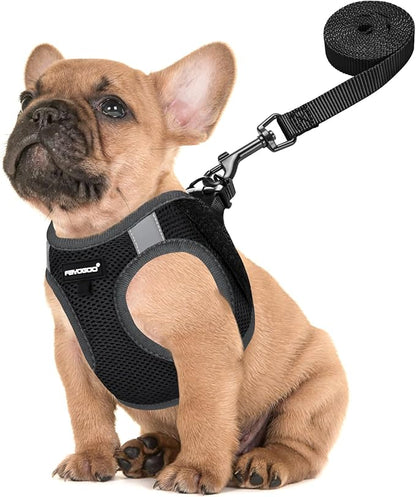 FAYOGOO Service Dog Vest for Small Breed - Lightweight Dog Harness with 6PCS Removable Patches - Puppy Harness and Leash Set for Walking,Training