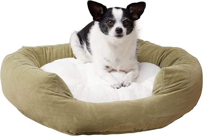 Maddie Donut Dog Bed with Removable Center Pillow (24" x 24")