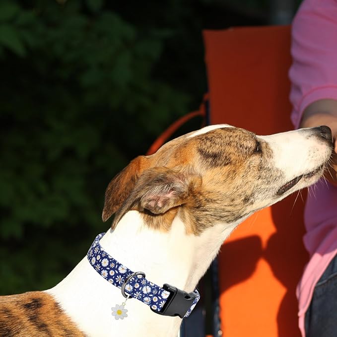 Flower Patterns Dog Collar with Accessories