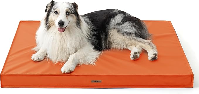 Lesure Outdoor Waterproof Dog Beds for Large Dogs