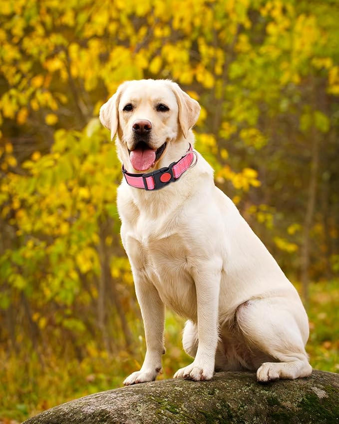 Reflective Dog Collar