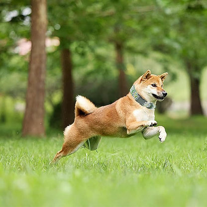 Summer Dog Collar, Big Dill Print Pet Collar Durable Metal Collar Dog Cute Green Boy Dog Collars Adjustable Dog Collar for Small Medium Large Dogs