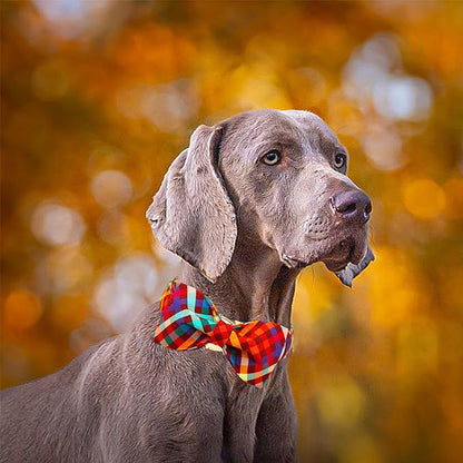 Lionheart glory Plaid Dog Collar Fall Halloween Dog Collars Bowtie Heavy Soft Adjustable Dog Collar for Small Dogs Collar Dog Bow Male/Female Dog Collar Pet Gift