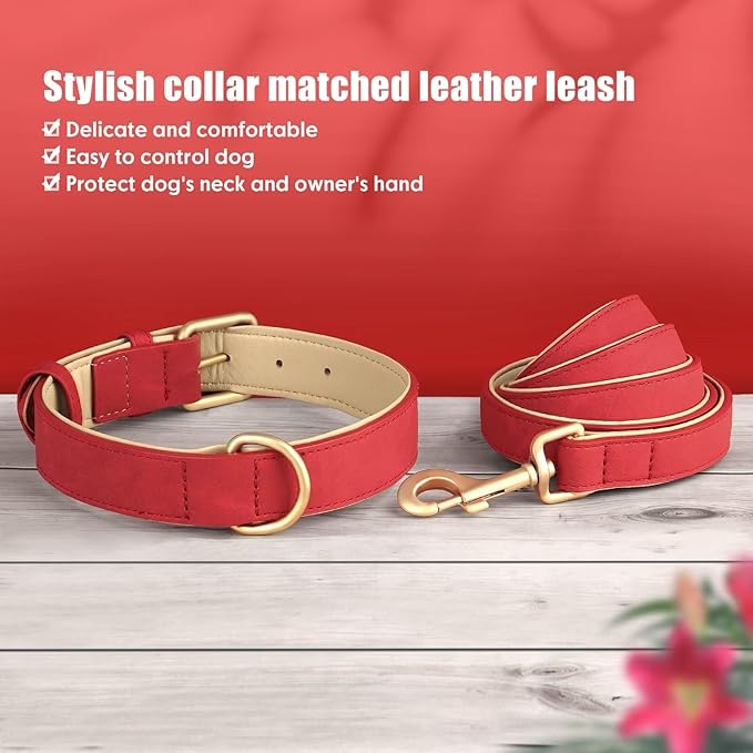 Beirui Soft Padded Leather Dog Collar and Leash Set 4FT Leather