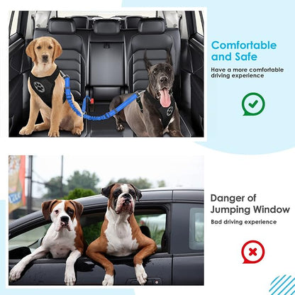 SlowTon Dog Seat Belt, Double Dog Seatbelt Adjustable Vehicle Safety Leash with Elastic Bungee Buffer, Reflective No Tangle Y Shape Two Dog Harness Seat Belt Splitter for Pets Car Trip (Light Blue, M)