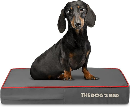 The Dog’s Bed Orthopedic Memory Foam Dog Bed 28x19, Pain