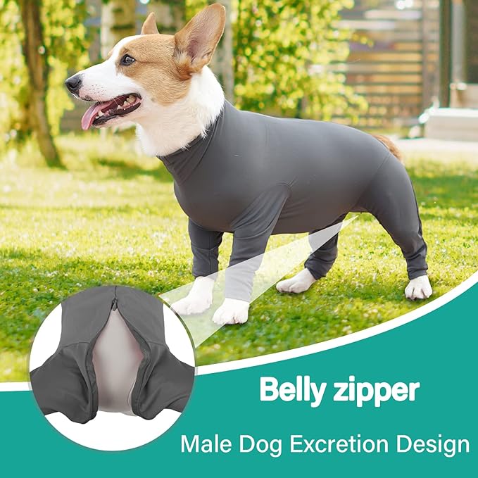 Etdane Dog Onesie After Surgery Pet Surgical Recovery