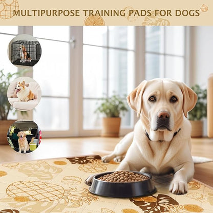 IEUUMLER Washable Pee Pads for Dogs 2 Pack EU007 (Yellow 36"X48"-2pcs)