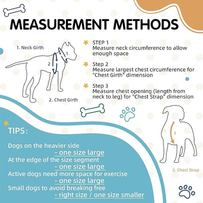 Tri-Color Dog Harness