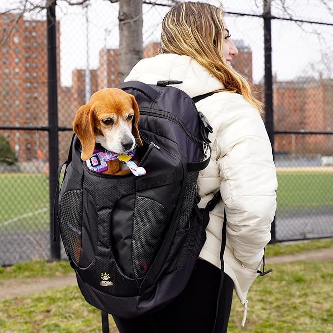 Large Pet Backpack| Dog Backpack for Most Dog Sizes | Travel&Hiking Pet Carrier Backpack | with Safety Leash |More Large Ventilations|Double-Layer Structure|Up to 25LB(New Black)