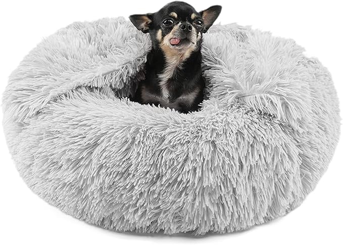 suddus Small Dog Bed with Blanket Attached 20''