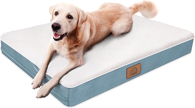 Orthopedic Dog Bed for Large Dogs 35 x 22 Inches,