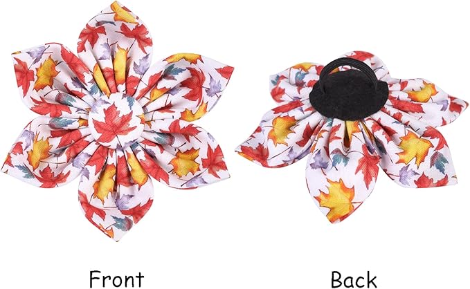 Lionet Paws Dog Collar with Flower 16-26in