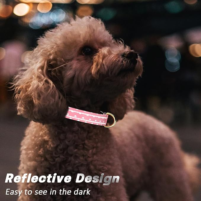Reflective Dog Collar