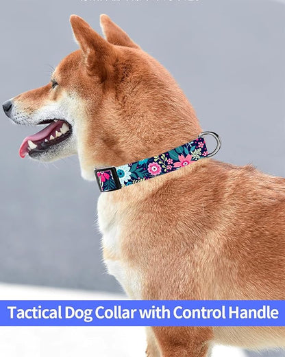 Dog Collar
