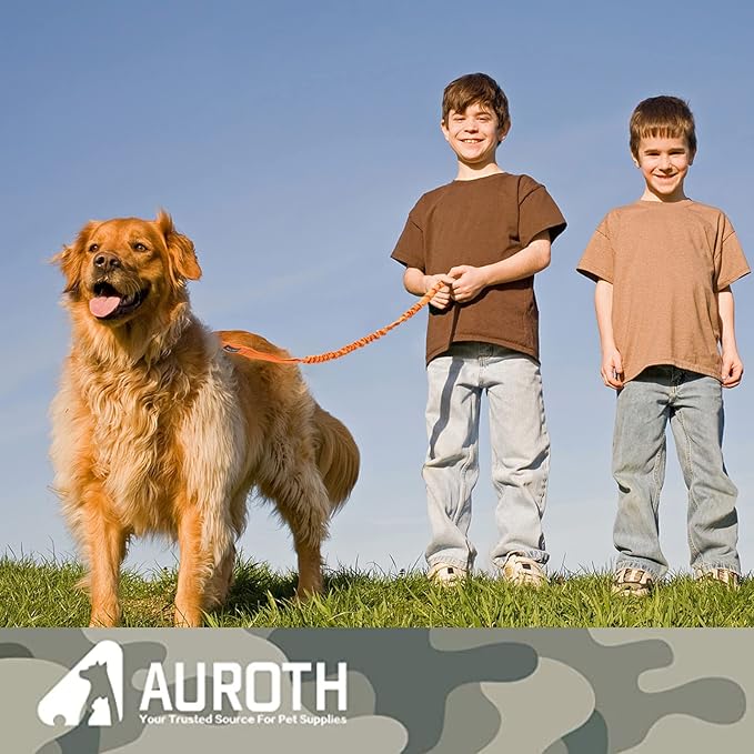 AUROTH Dog Leash Large Dogs 6FT, 2