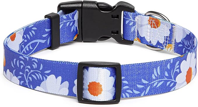 Adjustable Dog Collar with Patterns
