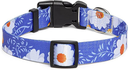 Adjustable Dog Collar with Patterns