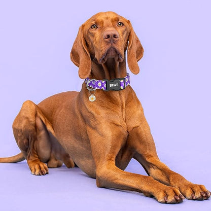 BiPawTi Floral Dog Collars for Large Dog