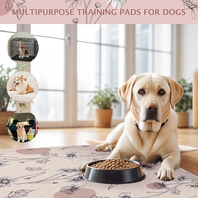 IEUUMLER Washable Pee Pads for Dogs 2 Pack EU007 (Pink 48"X30"-2pcs)