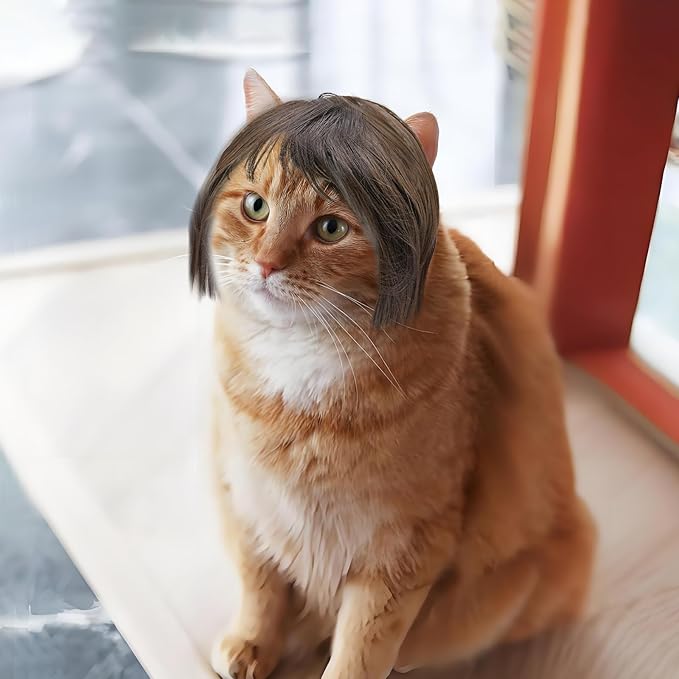 Funny Cat Dog Wig - Brown Bob Haircut with Bangs, Pet Costume for Small to Medium Sized Dogs and Cats, Halloween Party Cosplay Apparel Accessories, Comfortable and Adjustable Pet Wig