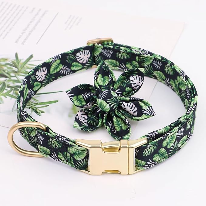 Beirui Cute Girl Dog Collars for Female Dogs