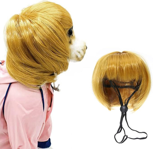 Funny Dog Cat Cosplay Wig, Headwear Apparel Toy, Pet Costumes, Cat Dress up for Halloween, Christmas, Parties, Festivals, Dog Wigs for Small Medium and Large Dogs (Pumpkin Yellow)