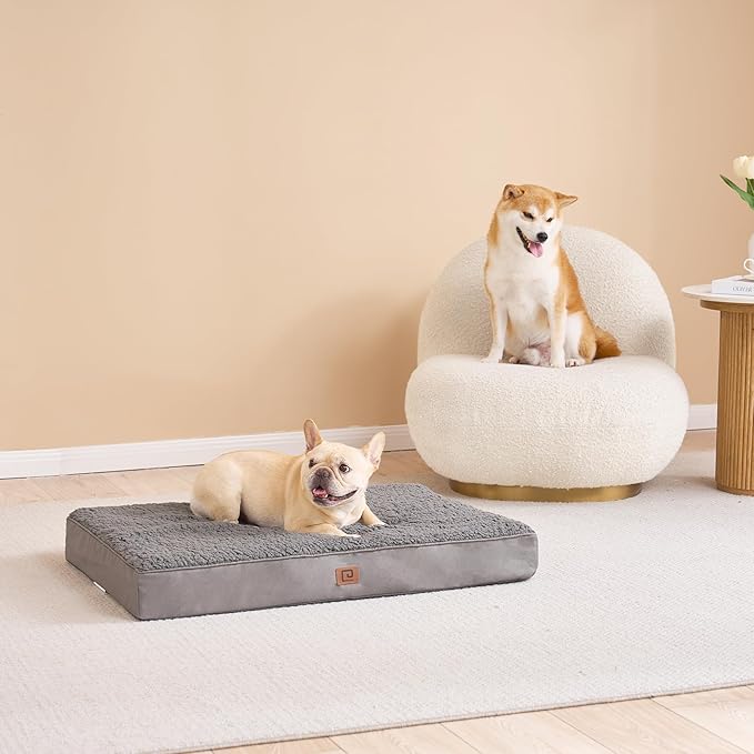 EHEYCIGA Orthopedic Foam Dog Bed for Large Dogs 35"L x 23"W x 3.5"Th, Light