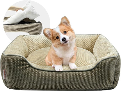 Miguel Cat Bed for Indoor Cats Washable Removable Cover 20 Inch