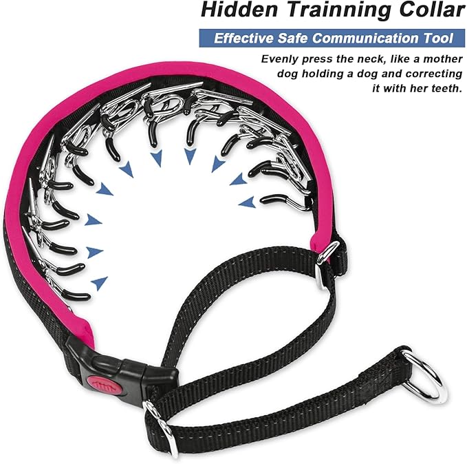 Martingale Collar for Dogs