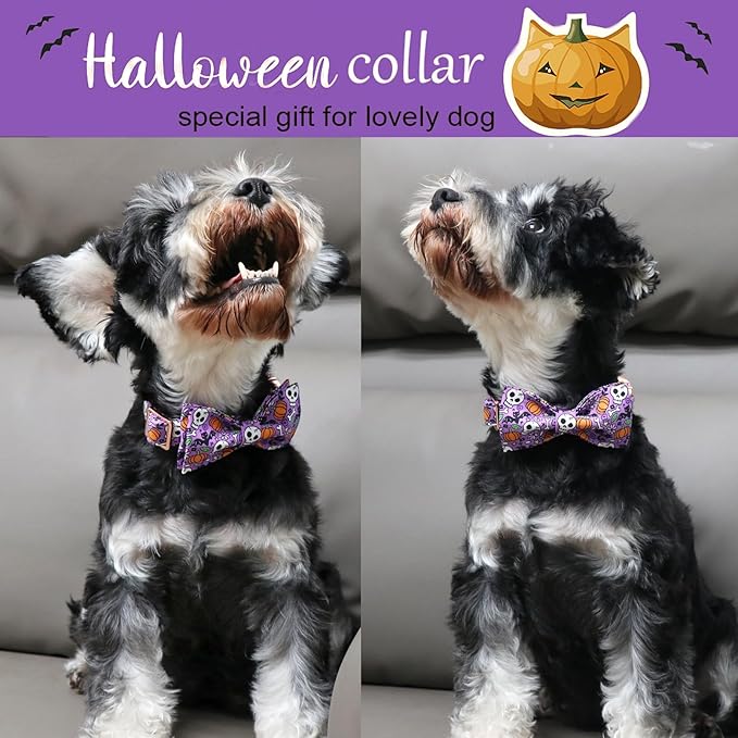 ARING PET Halloween Dog Collar Cute Pumpkin Dog Collar Bowtie