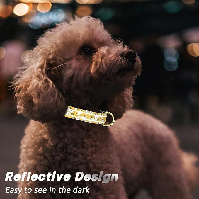 Reflective Dog Collar