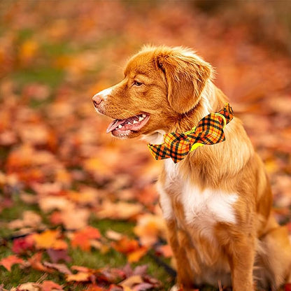 Elegant little tail Fall Dog Collar