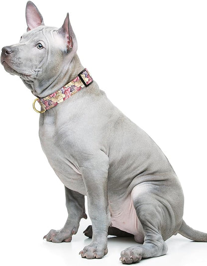 Reflective Dog Collar