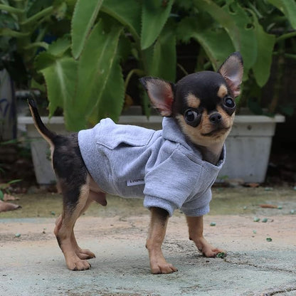 LOPHIPETS Lightweight Cotton Hoodie for Small Dogs – Hooded Sweatshirt for Chihuahuas Puppy and Toy Breeds-Grey/XXS