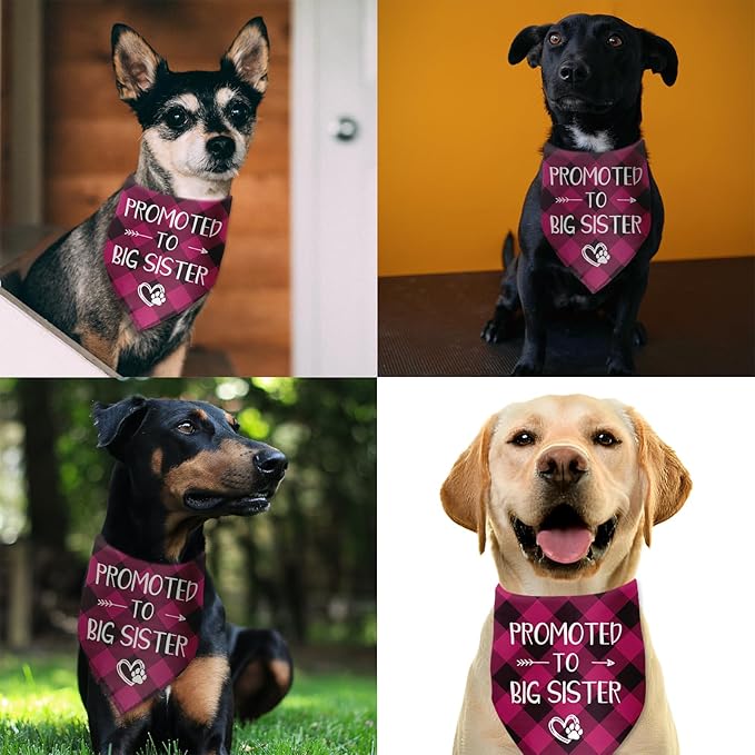 Promoted to Big Sister Dog Bandana Gender Reveal