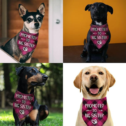Promoted to Big Sister Dog Bandana Gender Reveal