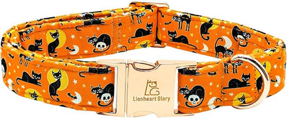 Lionheart glory Holiday Dog Collars Fall Halloween Cat