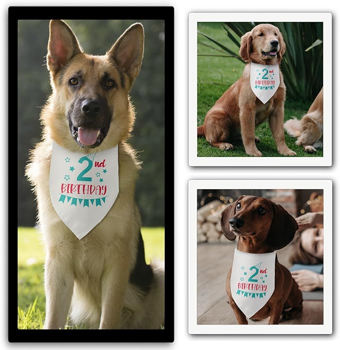 2nd Birthday Dog Bandana 2 Years Old Birthday 2nd Birthday