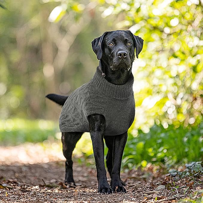 BRKURLEG Small Dog Sweaters