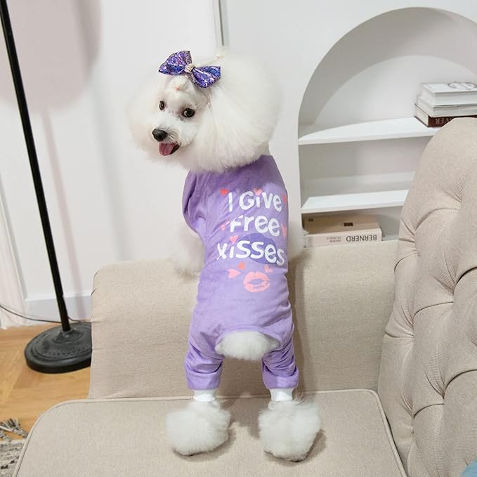 CuteBone Trend Letters Dog Pajamas Clothes Soft Puppy P246S