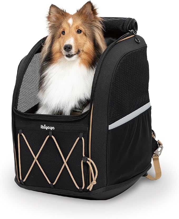 ibiyaya - Pet Carrier for Medium and Large Dogs - Champion 3-in-1 Large Dog Backpack Carrier with Water Resistant Fabric, Extra Storage, and Minimalist Folding and Storage - Jet Black