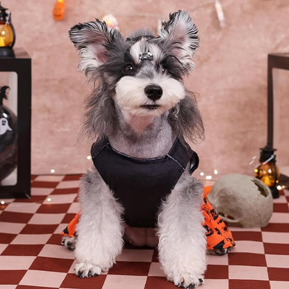 CuteBone Halloween Dog Dresses Velvet Holiday Small Dogs Clothes Onesie Pet Apparel Girl Puppy Skirt with Bow Hair Rope CVA43M-D
