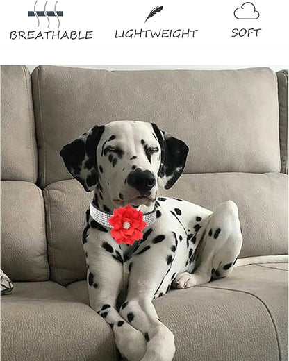 Rhinestone Dog Collar for Small Medium Dogs Red Medium Dog Collar for Girl Female Dogs Flower Puppy Collar for Summer Spring Wedding Puppy Necklace Girl Dog Collar (Rose Red