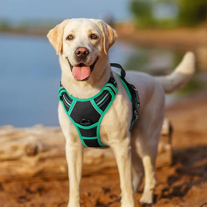 rabbitgoo Dog Harness, No-Pull Pet Harness with 2 Leash Clips, Adjustable Soft Padded Dog Vest, Reflective No-Choke Pet Oxford Vest with Easy Control Handle for Large Dogs, Black & Turquoise, S