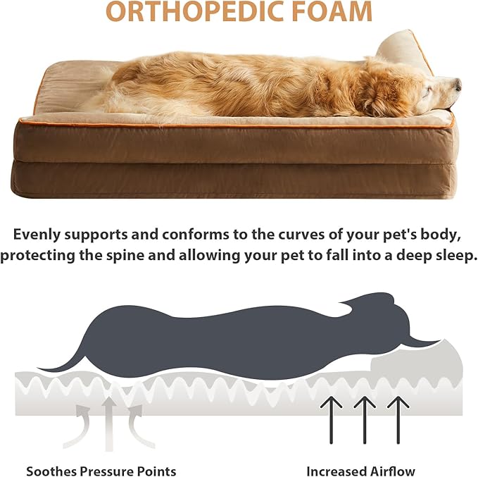 Orthopedic Dog Beds for Extra Large Dogs