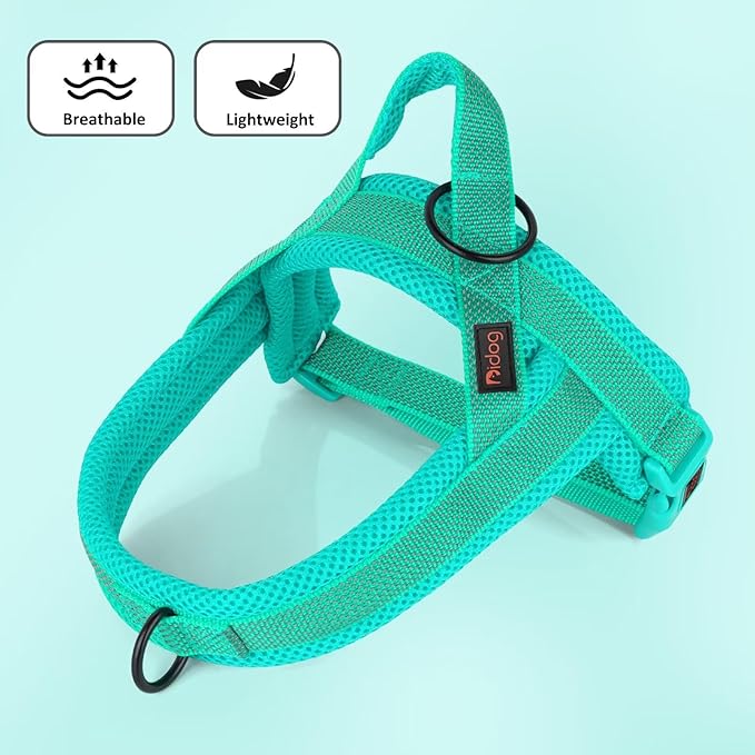 Didog No Pull Dog Harness with Breathable Mesh Padded, Full Reflective & Quick Fit Adjustable Vest Harness, Easy for Training Walking for Small & Medium and Large Dogs (Green, M)