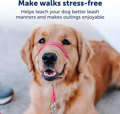 PetSafe Gentle Leader No-Pull Dog Headcollar